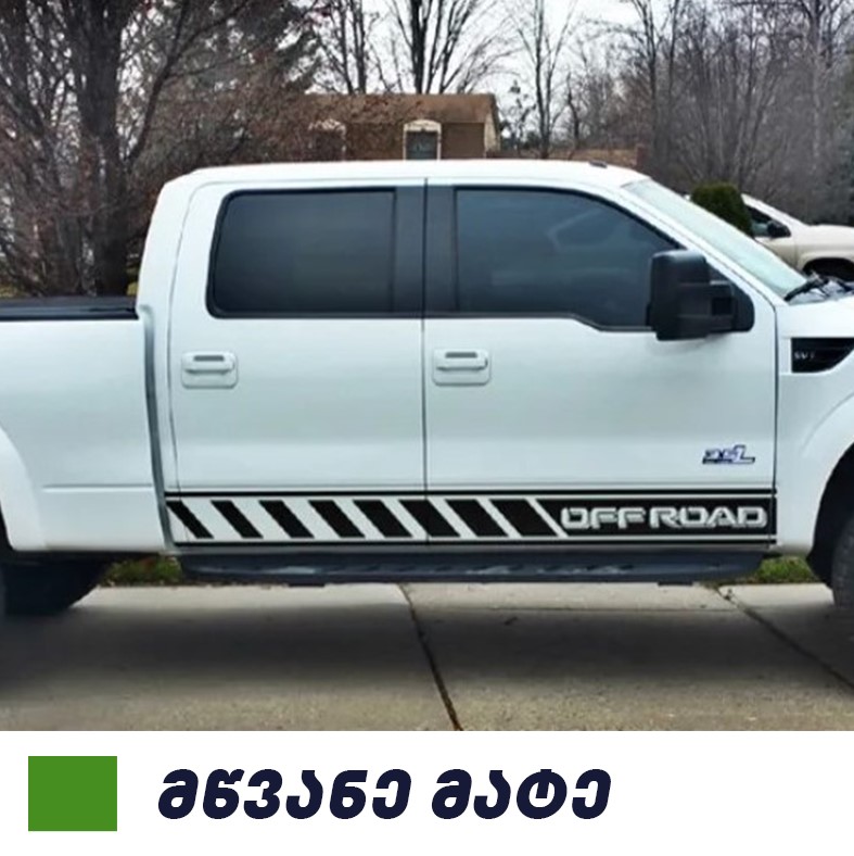 სტიკერი F150 2009-2014 კარის ქვედა ზოლზე (კომპლექტი-2ც) მწვანე მატე